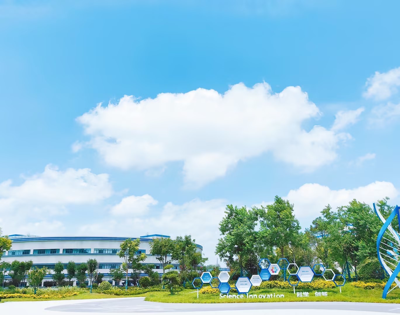Factory Environment at the Shandong Production Base