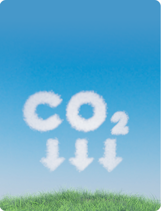 Pollution and Carbon Reduction